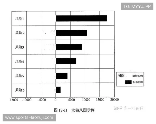 多宝电子行业分析:行业风险因素识别与应对措施的系统性研究 多宝电子行业分析:行业风险因素识别与应对措施的系统性研究